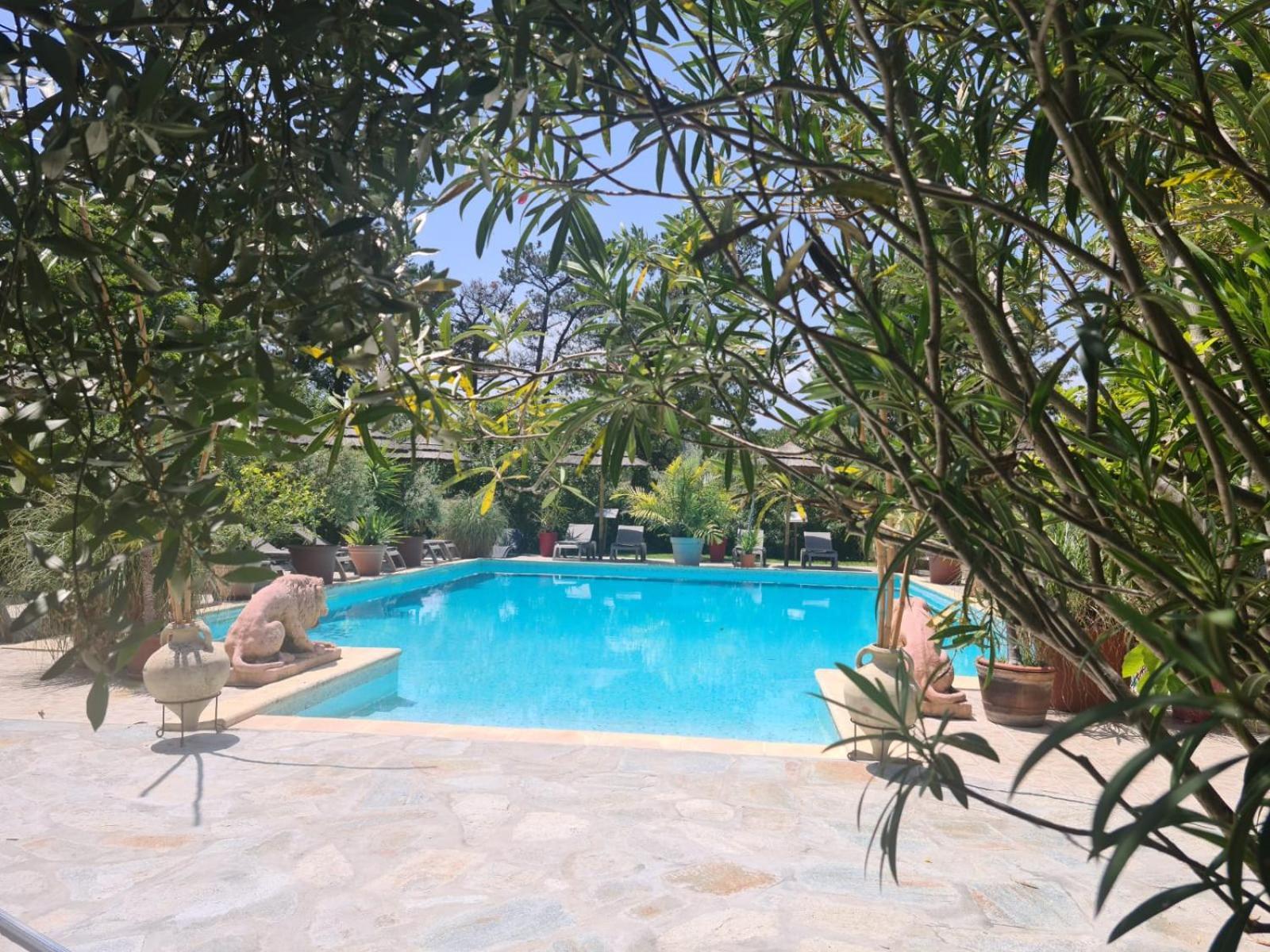Relais De Bravone Apartment Linguizzetta Luaran gambar